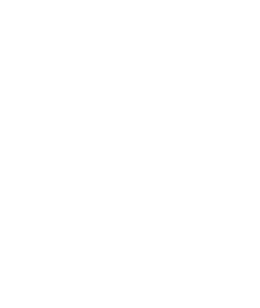 globo publicitario gigante