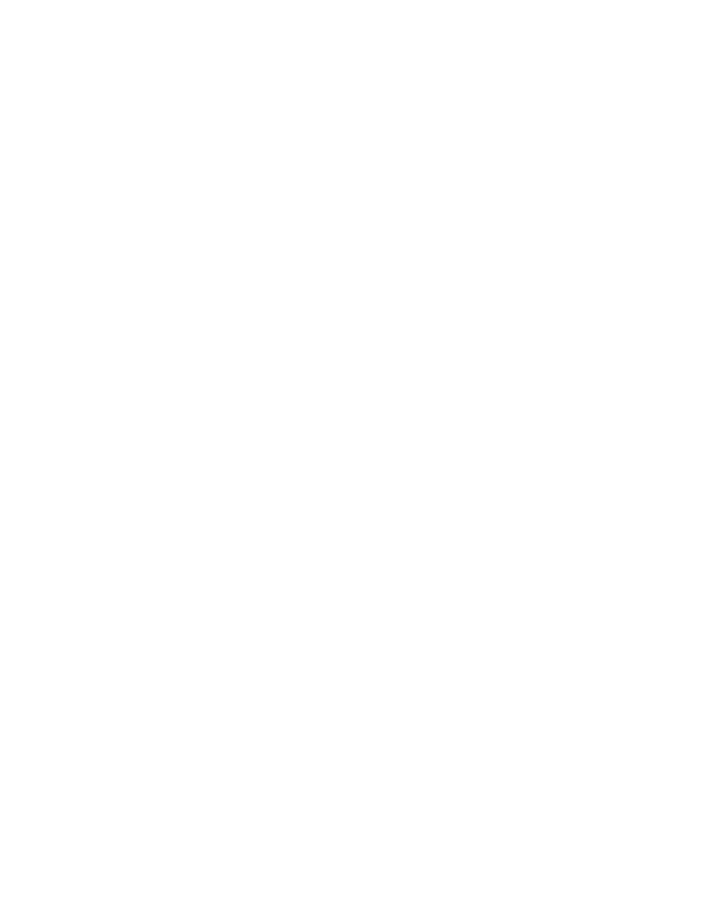 globo publicitario gigante