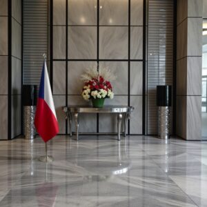 drapeau Tchequie avec mat