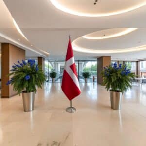 drapeau Danemark sur pied