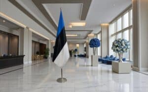 drapeau estonie sur pied