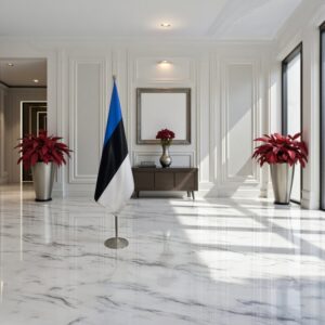 drapeau estonie sur pied