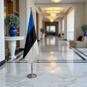 drapeau estonie sur pied
