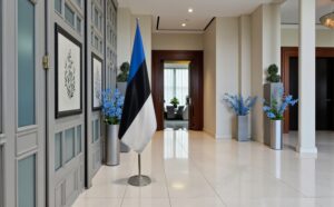 drapeau estonie sur pied